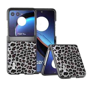 For Motorola Razr 40 Ultra ABEEL Black Edge Leopard Phone Case(Silver Leopard)