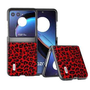 For Motorola Razr 40 Ultra ABEEL Black Edge Leopard Phone Case(Red Leopard)