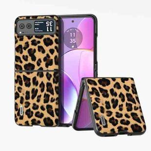 For Motorola Razr 40 ABEEL Black Edge Leopard Phone Case(Leopard Print)