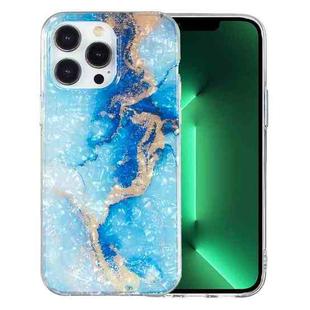 For iPhone 13 Pro IMD Shell Pattern TPU Phone Case(Blue Gold Marble)