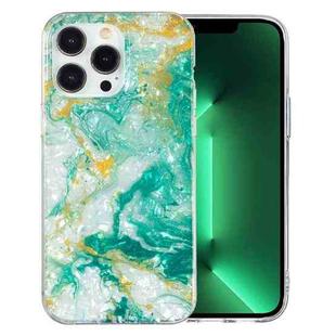 For iPhone 13 Pro IMD Shell Pattern TPU Phone Case(Green Marble)