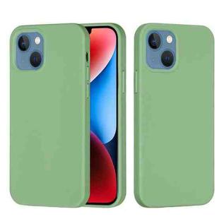 For iPhone 15 Solid Color Silicone Phone Case(Mint Green)