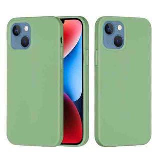 For iPhone 15 Plus Solid Color Silicone Phone Case(Mint Green)