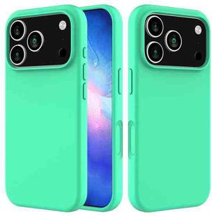 For iPhone 17 Pro Solid Color Silicone Phone Case(Green)