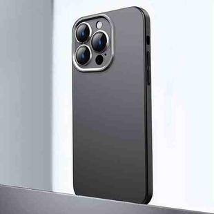 For iPhone 12 Pro Max Frosted Metal Material Phone Case with Lens Protection(Black)