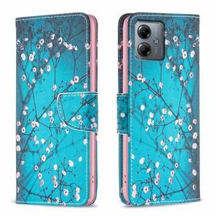 For Motorola Moto G14 4G Colored Drawing Pattern Leather Phone Case(Plum Blossom)