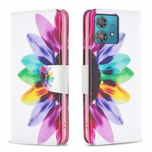 For Motorola Edge 40 Neo Colored Drawing Pattern Leather Phone Case(Sun Flower)