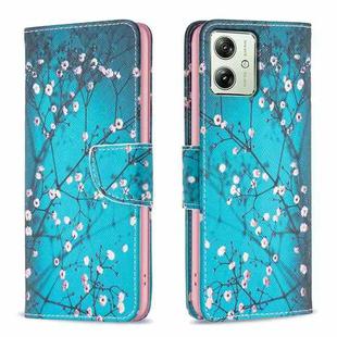 For Motorola Moto G54 5G EU Edition Colored Drawing Pattern Leather Phone Case(Plum Blossom)