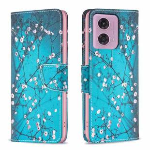 For Motorola Moto G34 5G Colored Drawing Pattern Leather Phone Case(Plum Blossom)