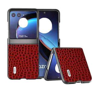 For Motorola Razr 40 Ultra ABEEL Genuine Leather Crocodile Pattern Black Edge Phone Case(Red)