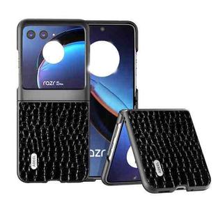 For Motorola Razr 40 Ultra ABEEL Genuine Leather Crocodile Pattern Black Edge Phone Case(Black)