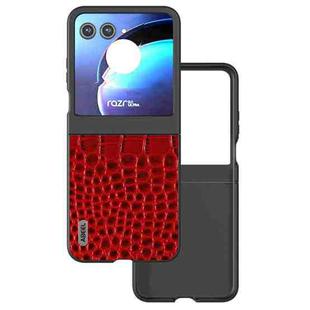 For Motorola Razr 50 ABEEL Genuine Leather Crocodile Pattern Black Edge Phone Case(Red)