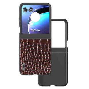 For Motorola Razr 50 ABEEL Genuine Leather Crocodile Pattern Black Edge Phone Case(Coffee)