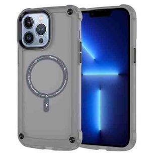 For iPhone 13 Pro Skin Feel TPU + PC MagSafe Magnetic Phone Case(Transparent Black)