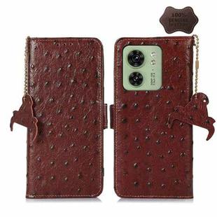 For Motorola Edge 40 Ostrich Pattern Genuine Leather RFID Phone Case(Coffee)