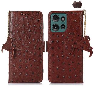 For Motorola Edge 50 Ostrich Pattern Genuine Leather RFID Phone Case(Coffee)