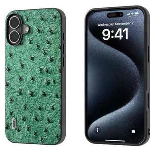 For iPhone 16 ABEEL Genuine Leather Ostrich Texture Phone Case(Green)