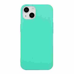 For iPhone 15 Shockproof Frosted TPU Phone Case(Mint Green)