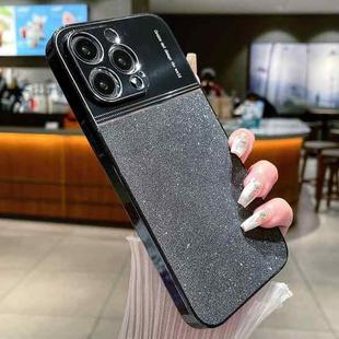 For iPhone 13 Pro Max Metallic Glitter Powder Shockproof Phone Case(Black)