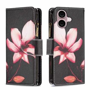 For iPhone 16 Plus Colored Drawing Pattern Zipper Phone Leather Case(Lotus)