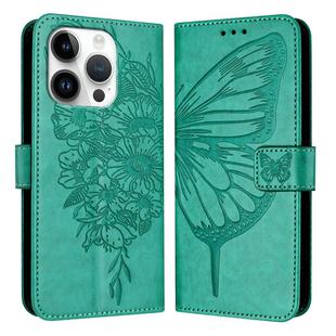 For iPhone 16 Pro Embossed Butterfly Leather Phone Case(Green)