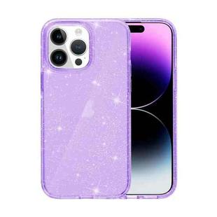 For iPhone 15 Pro Max Shockproof Terminator Glitter Powder Phone Case(Purple)