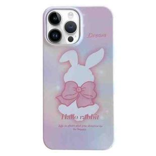 For iPhone 14 Pro Painted Pattern PC Phone Case(Pink Bowknot Bunny)