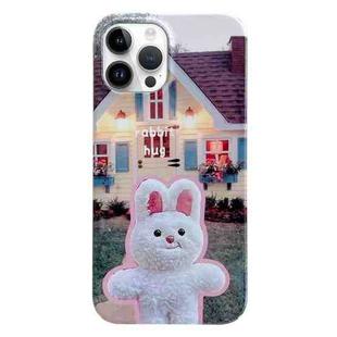 For iPhone 11 Pro Max Painted Pattern PC Phone Case(Bunny Hug)