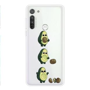 For Motorola G8 Coloured Drawing Pattern Highly Transparent TPU Protective Case(Avocado)