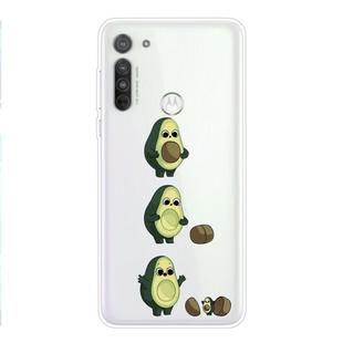 For Motorola G8 Power Coloured Drawing Pattern Highly Transparent TPU Protective Case(Avocado)