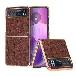 For Motorola Razr 40 Nano Plating Genuine Leather Ostrich Texture Phone Case(Coffee)