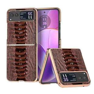 For Motorola Razr 40 Nano Plating Genuine Leather Weilai Series Phone Case(Coffee)