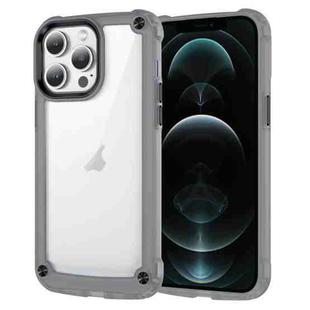 For iPhone 12 Pro Max Skin Feel TPU + PC Phone Case(Transparent Black)