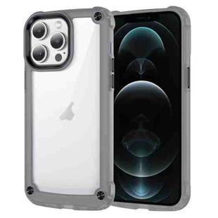 For iPhone 12 Pro Skin Feel TPU + PC Phone Case(Transparent Black)