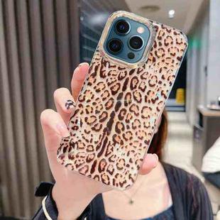 For iPhone 12 Pro Max Colorful Crystal Shell Pattern PC + TPU Phone Case(Deep Leopard)