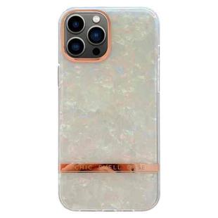 For iPhone 13 Pro Max Electroplating Shell Texture TPU Phone Case(Colorful)