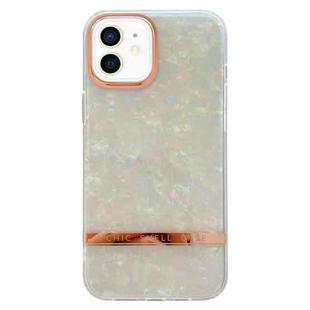 For iPhone 12 Electroplating Shell Texture TPU Phone Case(Colorful)