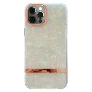 For iPhone 12 Pro Electroplating Shell Texture TPU Phone Case(Colorful)