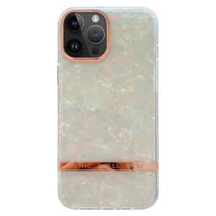 For iPhone 15 Pro Max Electroplating Shell Texture TPU Phone Case(Colorful)