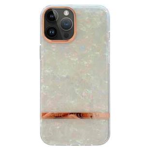 For iPhone 15 Pro Electroplating Shell Texture TPU Phone Case(Colorful)