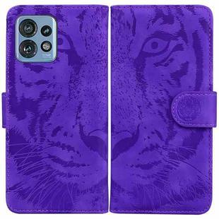 For Motorola Edge 40 Pro Tiger Embossing Pattern Leather Phone Case(Purple)