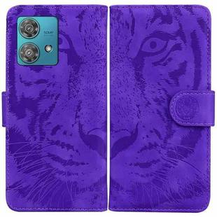For Motorola Edge 40 Neo Tiger Embossing Pattern Leather Phone Case(Purple)