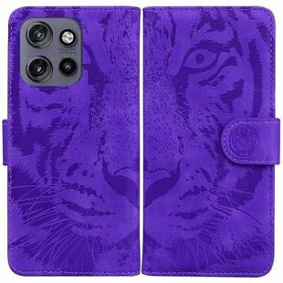 For Motorola Edge 50 Neo 5G Global Tiger Embossing Pattern Leather Phone Case(Purple)