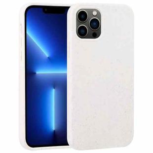 For iPhone 15 Pro Starry Series Shockproof Straw Material + TPU Protective Case(Starlight)