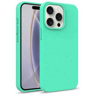 For iPhone 16 Pro Max Starry Series Shockproof Straw Material + TPU Protective Case(Green)