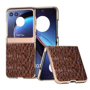 For Motorola Razr 40 Ultra Sky Series Nano Electroplating Genuine Leather Phone Case(Coffee)