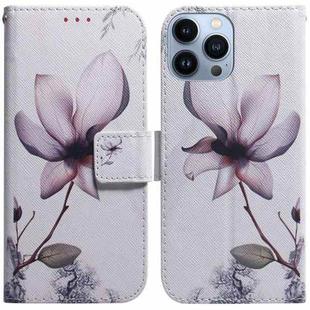 For iPhone 15 Pro Coloured Drawing Flip Leather Phone Case(Magnolia)