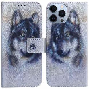 For iPhone 14 Pro Max Coloured Drawing Flip Leather Phone Case(White Wolf)