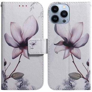 For iPhone 14 Pro Max Coloured Drawing Flip Leather Phone Case(Magnolia)