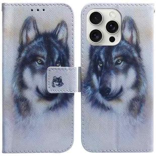 For iPhone 16 Pro Coloured Drawing Flip Leather Phone Case(White Wolf)